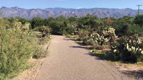 Watch: A walk around Case Natural Resource Park
